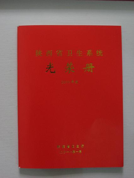 陜西省衛生系統光榮冊