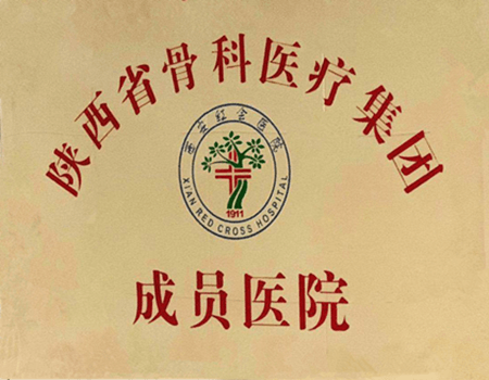 陜西省骨科醫療集團成員醫院