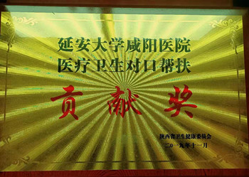 醫療衛生對口幫扶貢獻獎