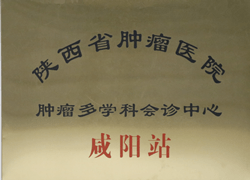 陜西省腫瘤醫院腫瘤多學科會診中心咸陽站