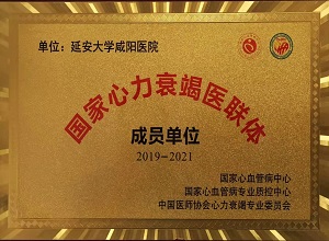 國家心力衰竭醫聯體成員單位