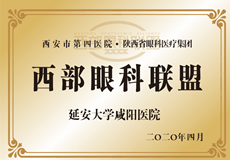 西部眼科聯盟